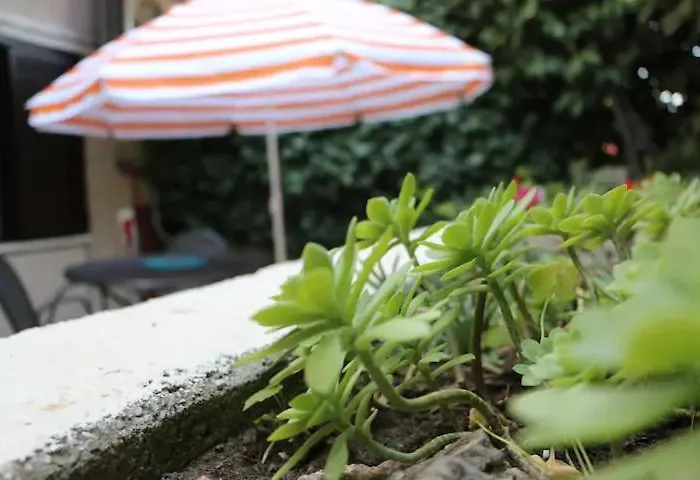Spinut & Marjan Apartmán Split